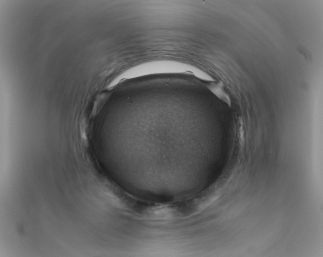 X0000112370219200909031938