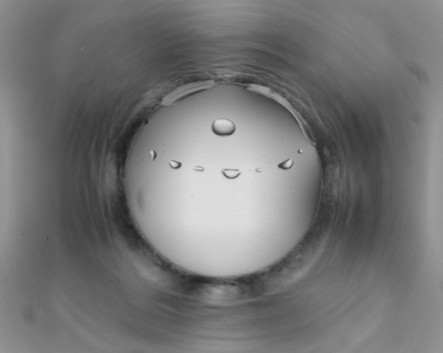 X0000112370220200909031938