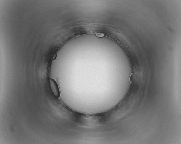 X0000112370221200909031938