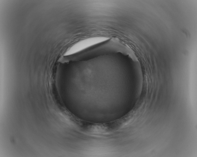 X0000112370223200909031938