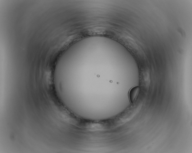 X0000112370224200909031938