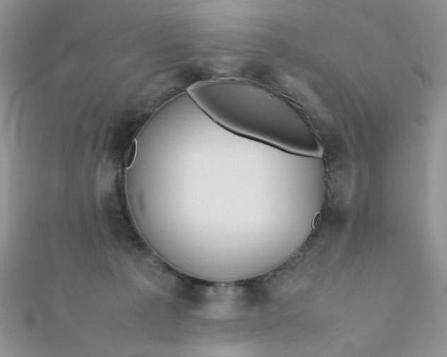 X0000112370225200909031938