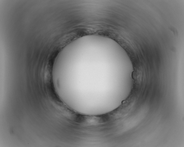 X0000112370226200909031938
