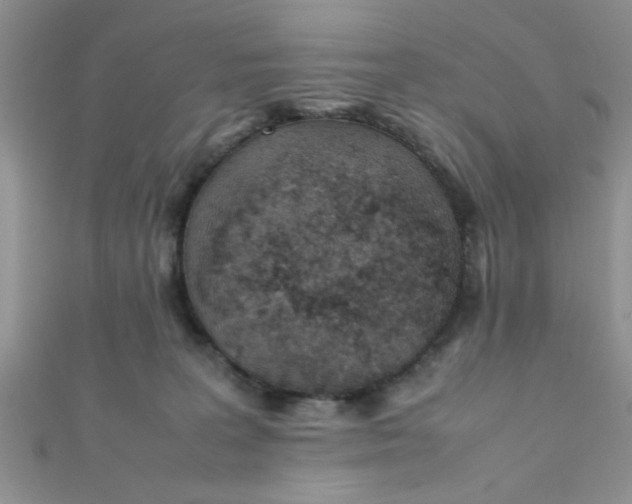 X0000112370227200909031938