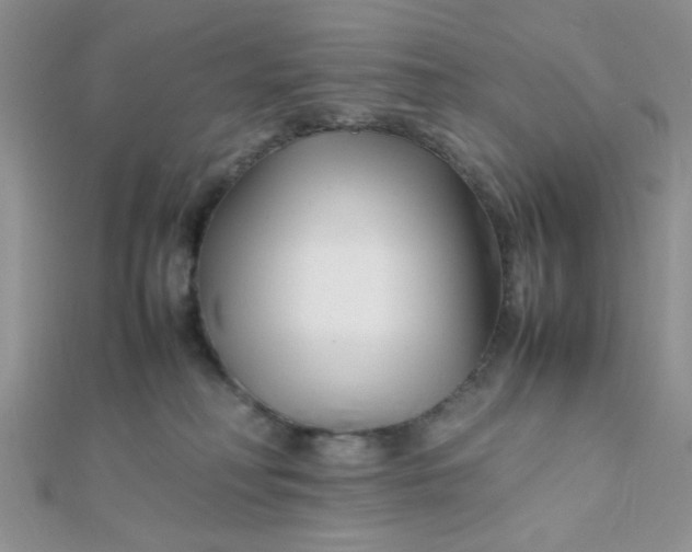 X0000112370230200909031938