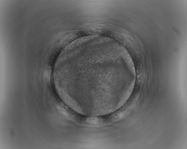 X0000112370231200909031938