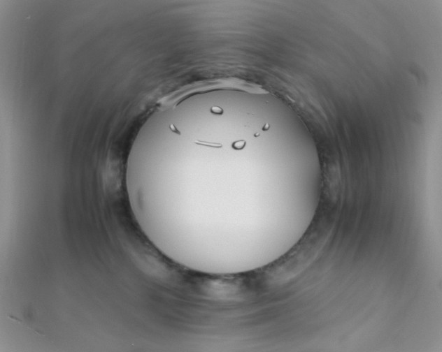 X0000112370232200909031938