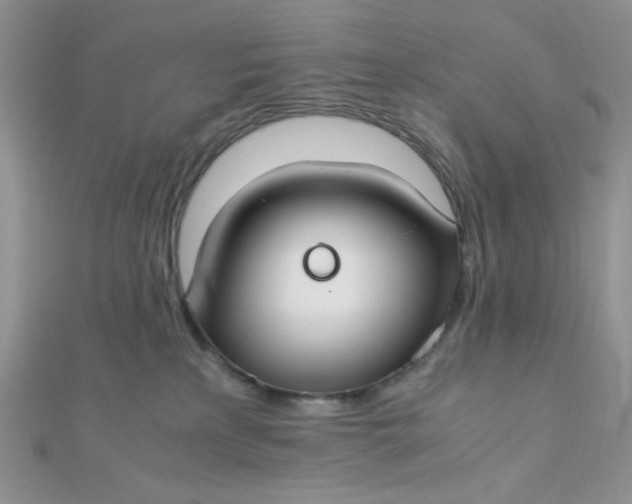 X0000112370233200909031938