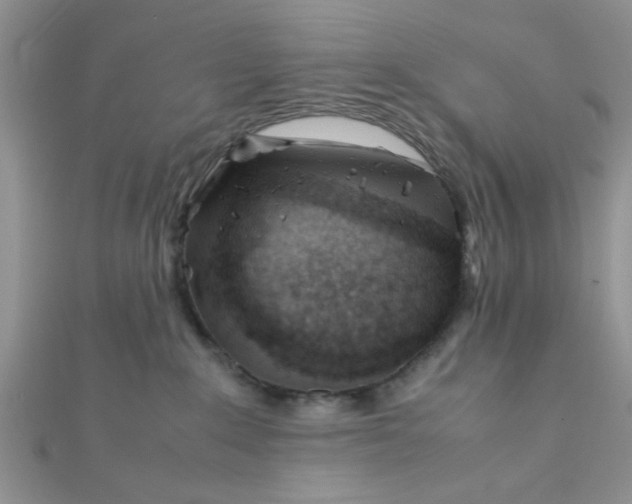 X0000112370235200909031938