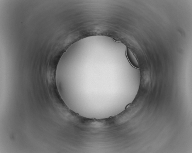X0000112370236200909031938