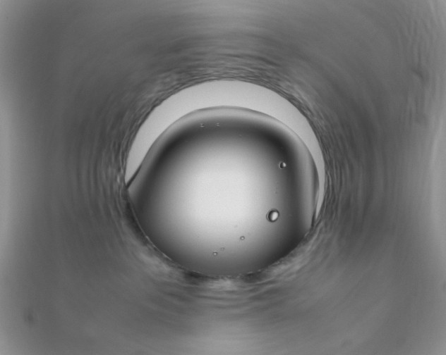 X0000112370237200909031938