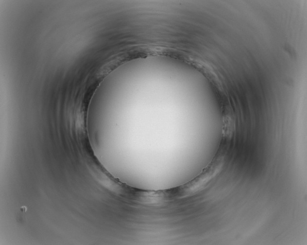 X0000112370238200909031938