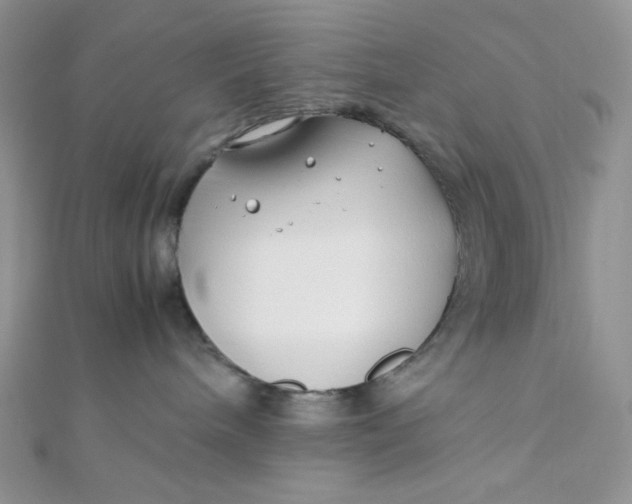 X0000112370240200909031937