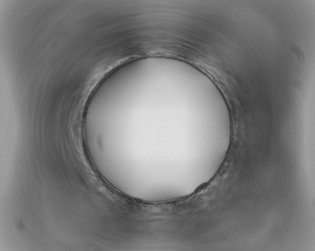 X0000112370241200909031937