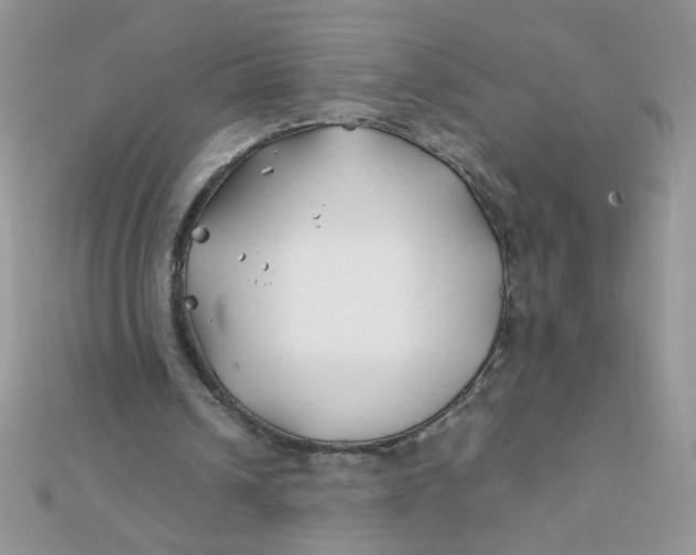 X0000112370242200909031937