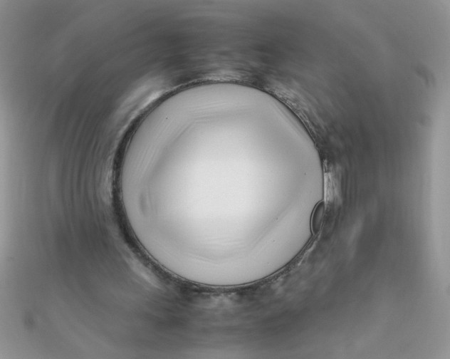 X0000112370243200909031937