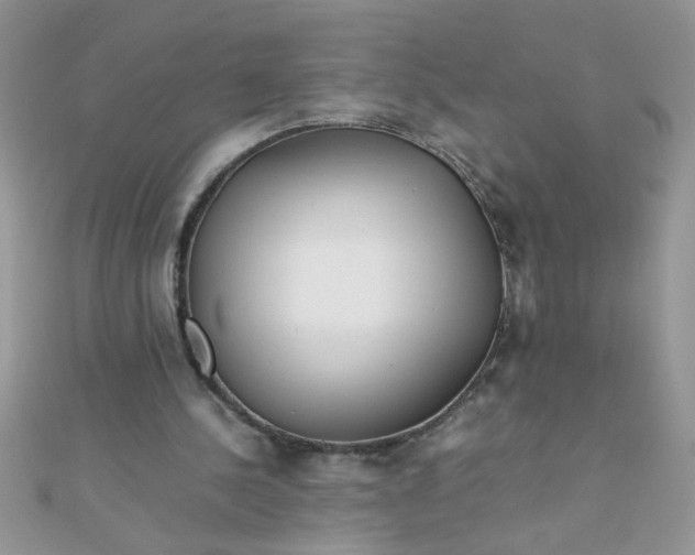 X0000112370244200909031937
