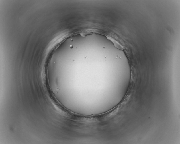 X0000112370245200909031937