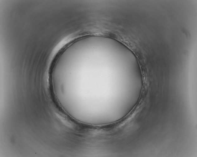 X0000112370246200909031937