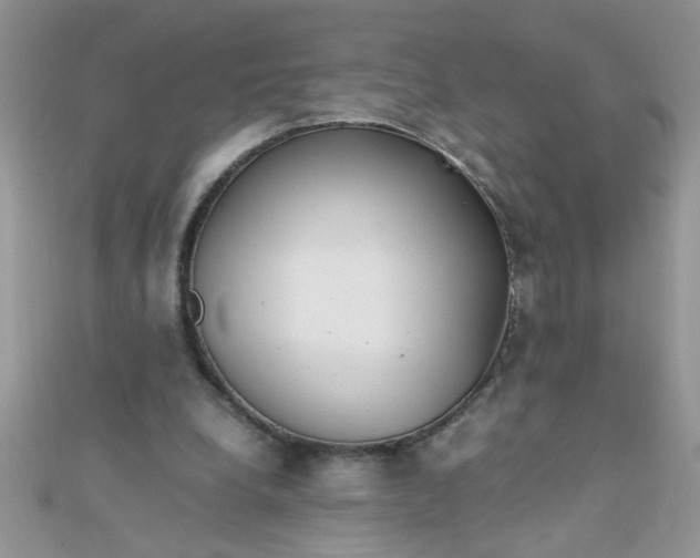 X0000112370248200909031937
