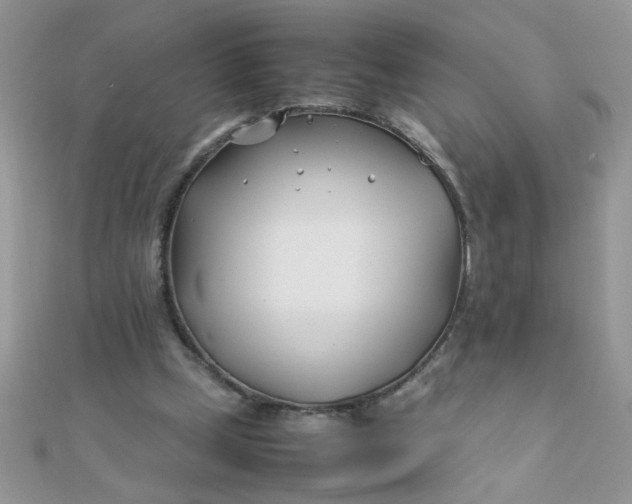 X0000112370249200909031937