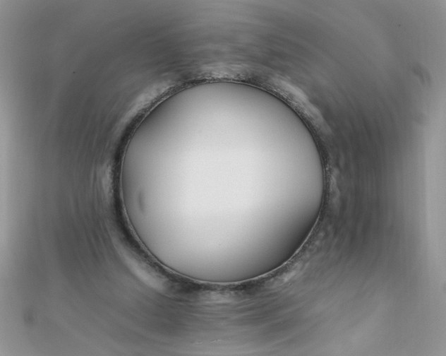 X0000112370250200909031937