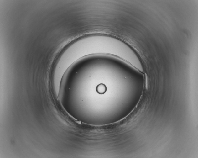 X0000112370252200909031937