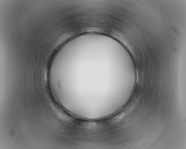 X0000112370253200909031937