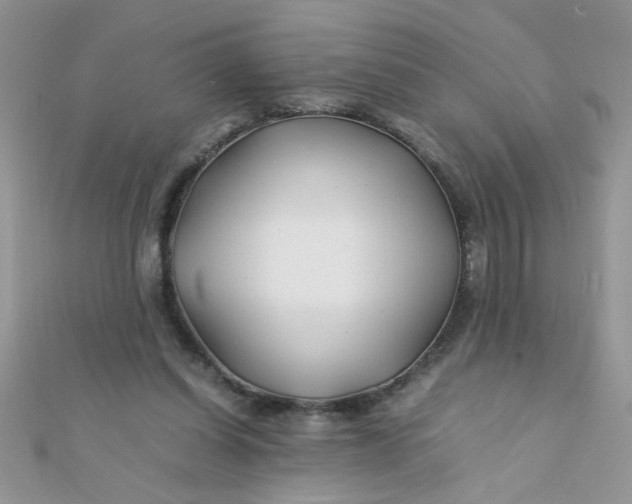 X0000112370254200909031937