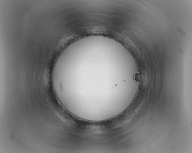 X0000112370255200909031937