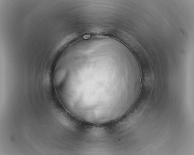 X0000112370256200909031937