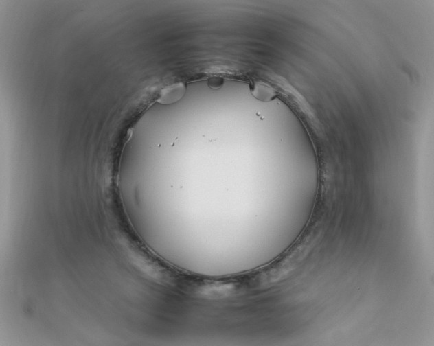 X0000112370257200909031937