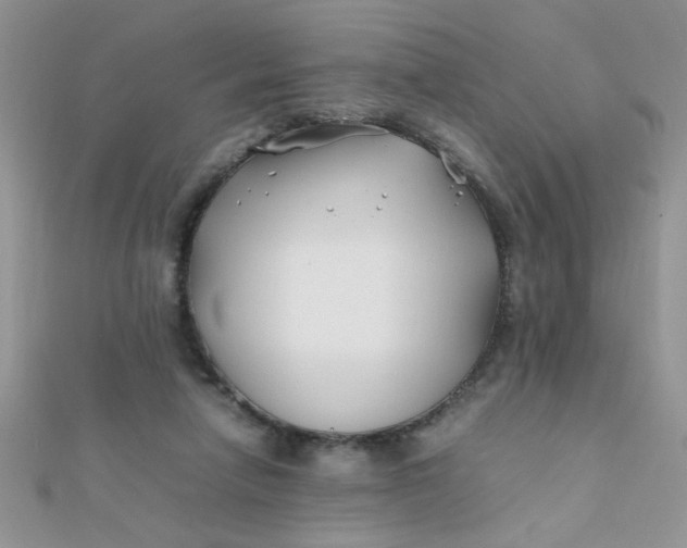 X0000112370258200909031937