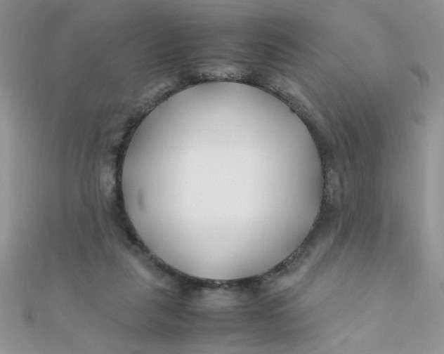X0000112370259200909031937
