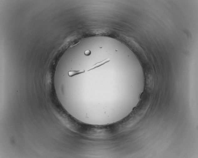 X0000112370260200909031937