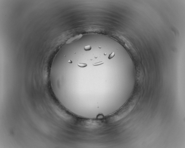 X0000112370261200909031937