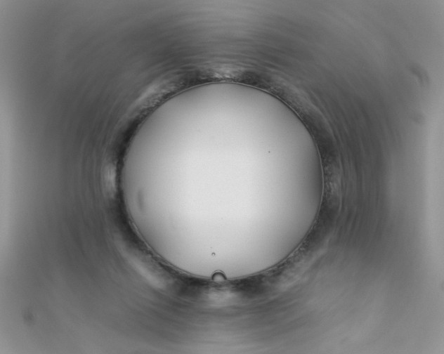 X0000112370262200909031937