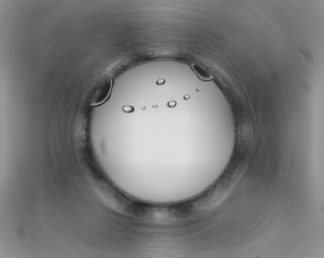 X0000112370264200909031937
