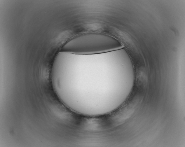 X0000112370268200909031937