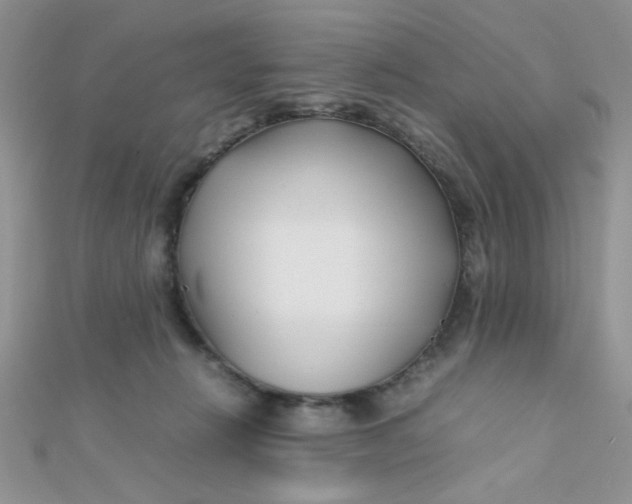X0000112370270200909031937