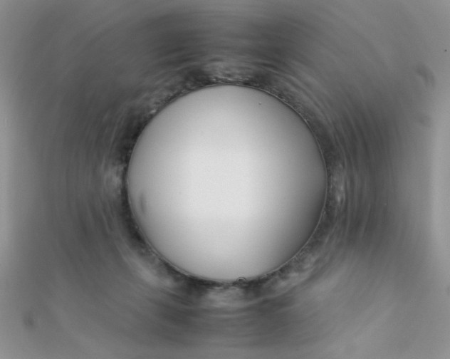 X0000112370271200909031937