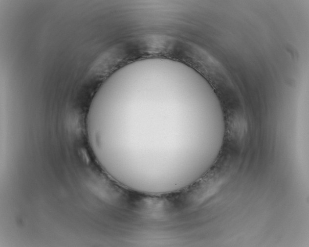 X0000112370272200909031937