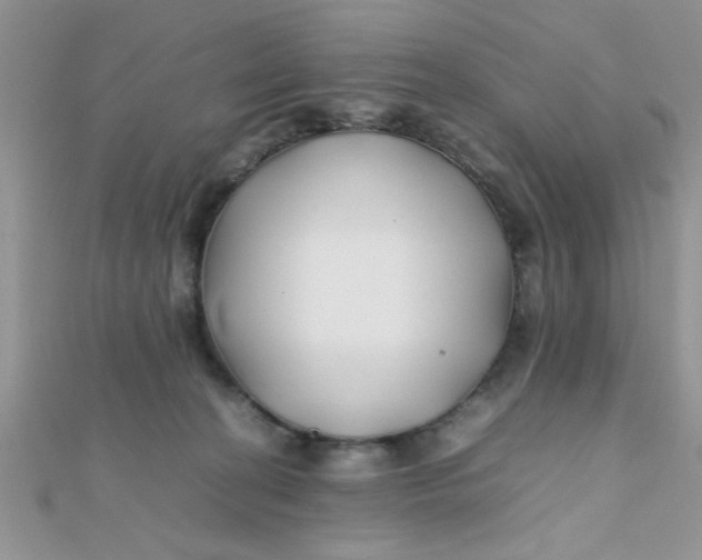 X0000112370274200909031937