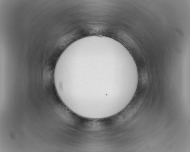 X0000112370276200909031937