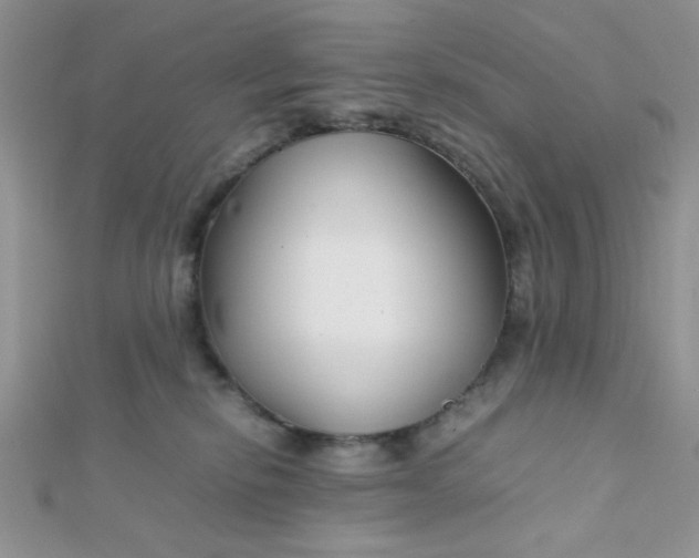 X0000112370278200909031937