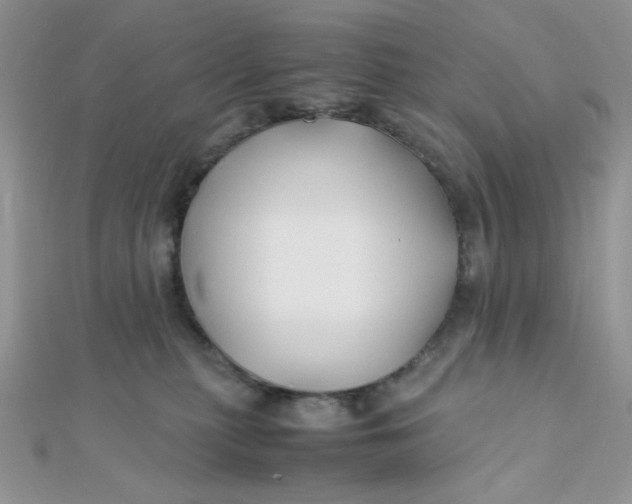 X0000112370279200909031937