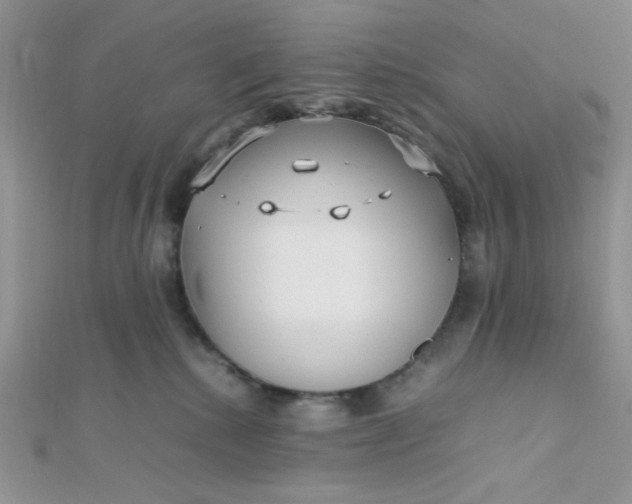 X0000112370280200909031937