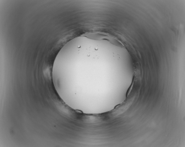 X0000112370286200909031937