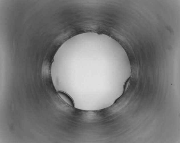X0000112370287200909031937