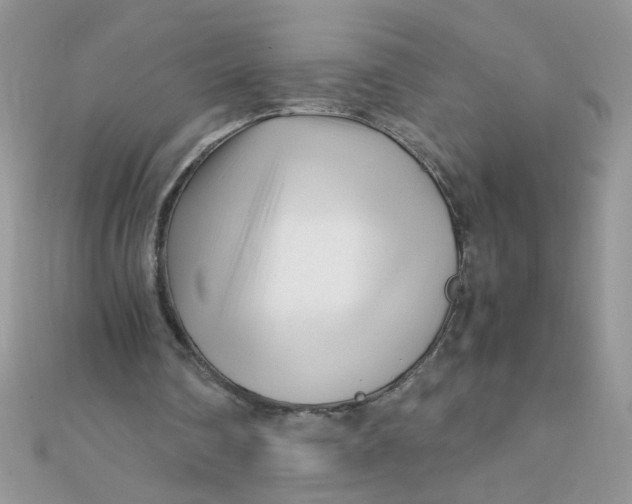 X0000112370290200909031937